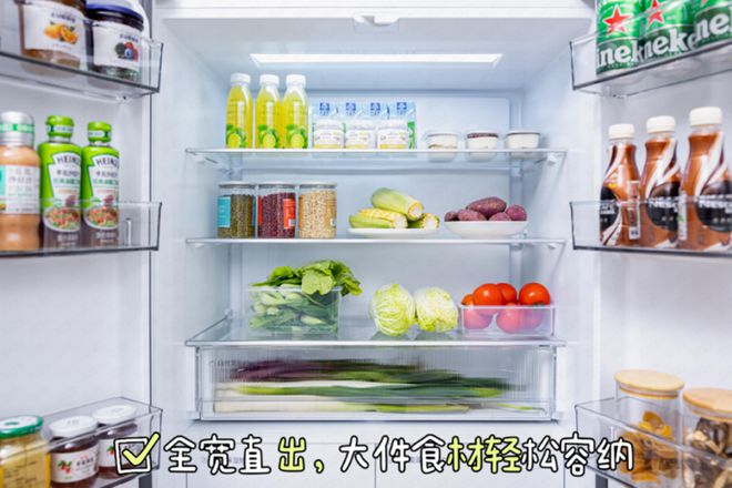 嵌入式冰箱完美之选618选购心路历程看完不迷路!(图7) 嵌入式冰箱完美之选618选购心路历程看完不迷路!(图7)