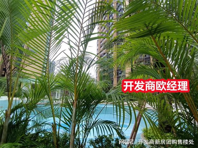 颐峰名庭最佳投资会员权益住宅价格购房经验分享