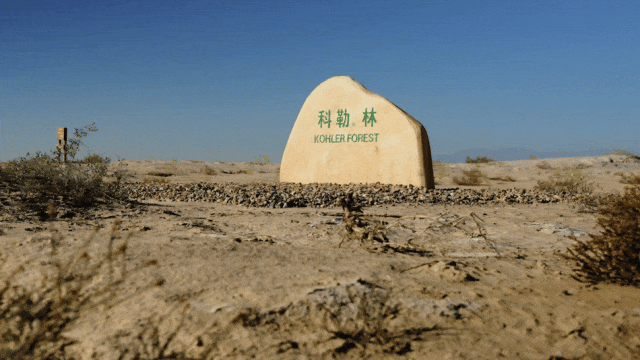2024年人生体验合集:生活可以是一个“动词”(图9) 2024年人生体验合集:生活可以是一个“动词”(图9)